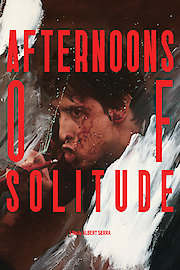 Afternoons of Solitude