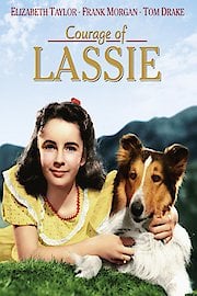 The Courage of Lassie