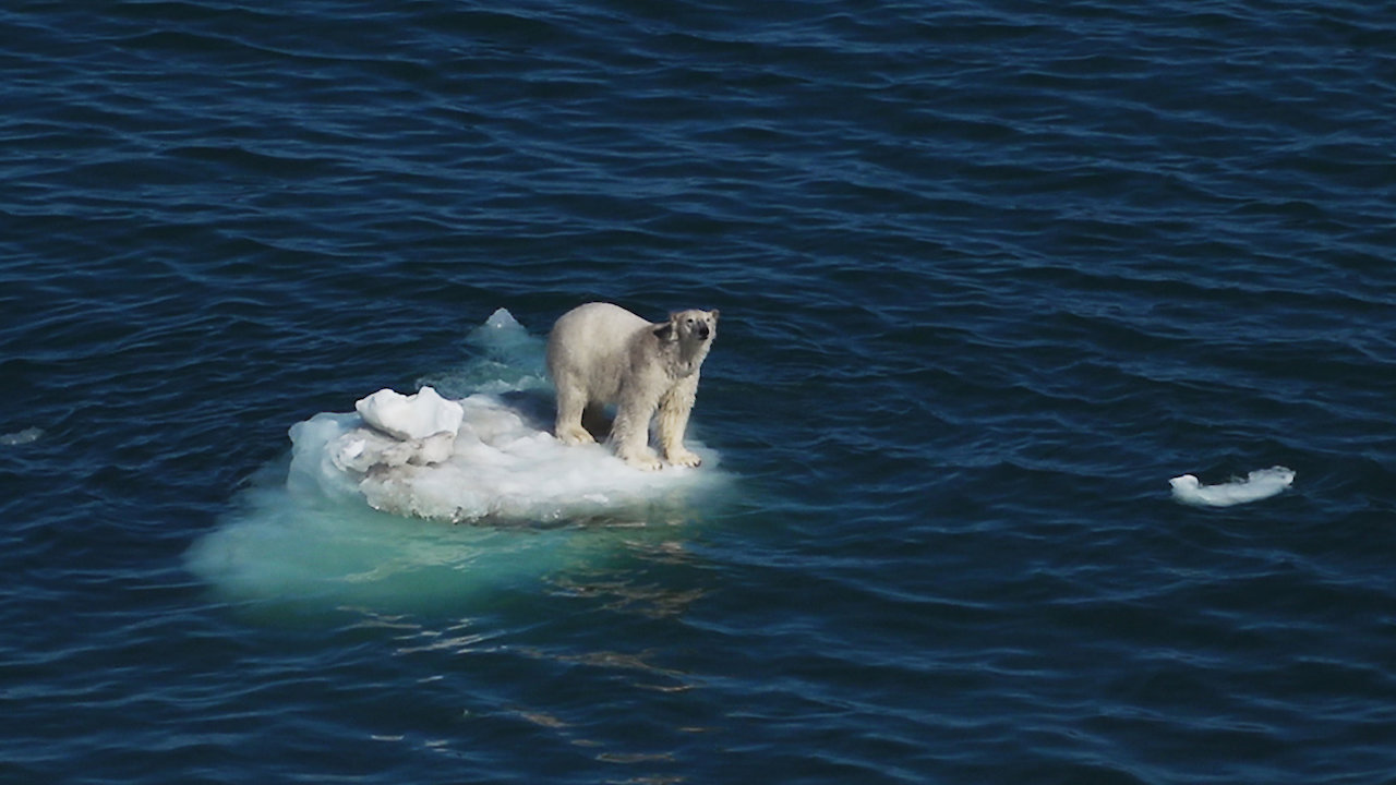 On Thin Ice - Expedition Into The Russian Arctic