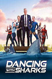 Dancing With Sharks