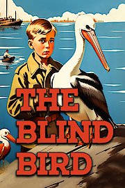 The Blind Bird