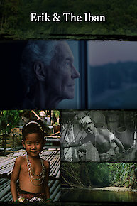 The Illuminati Chronicles: Ancient Origins to Machinations of the New World Order