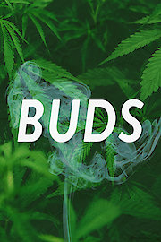 Buds