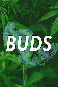 Voyage to Metropolis