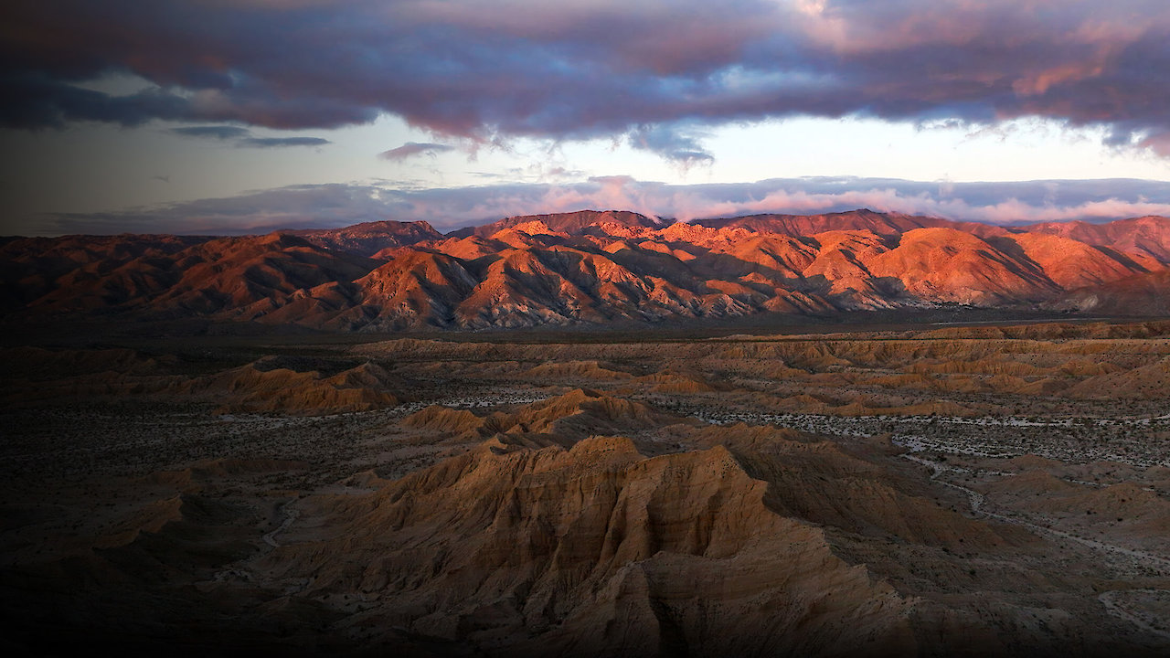 San Diego: America's Wildest City