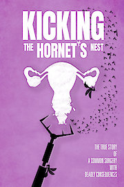 Kicking The Hornet's Nest