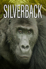 Silverback