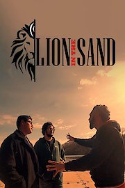 Lion in the Sand