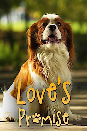 Loves Promise - Lily