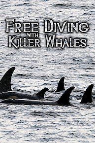 Danny Cho: Liquor Store Baby