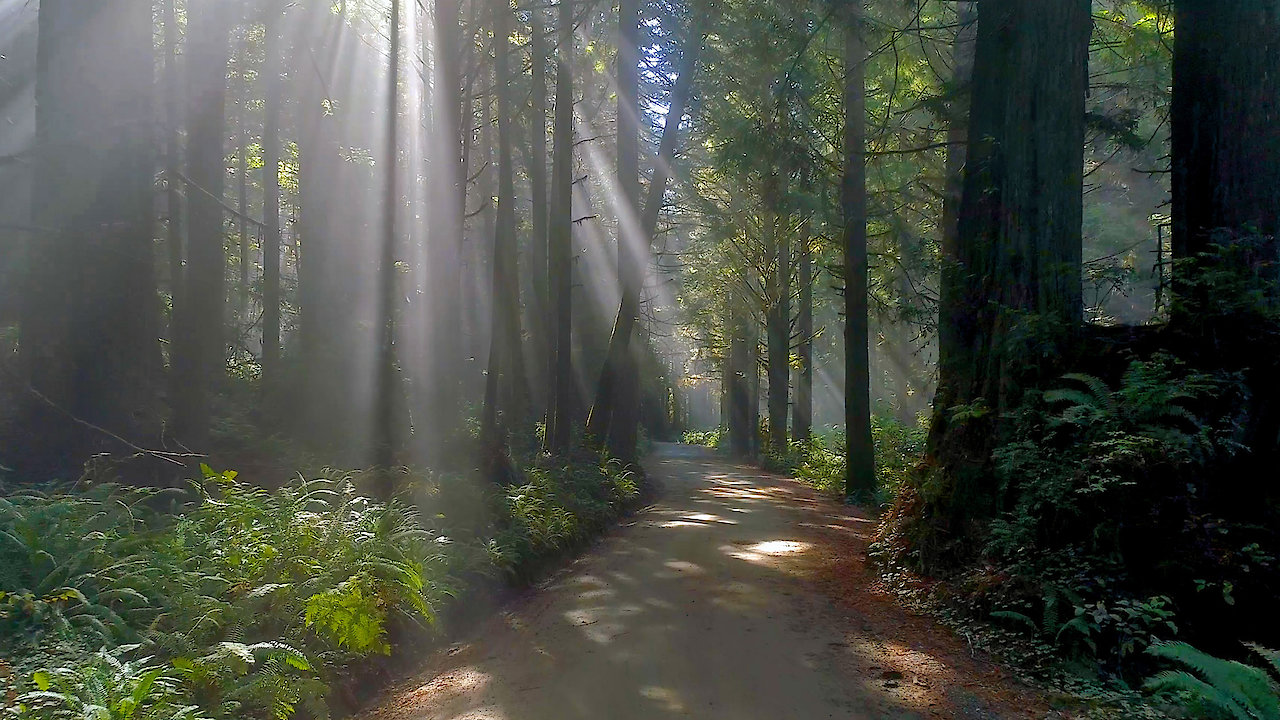 Beautiful Northern California with music