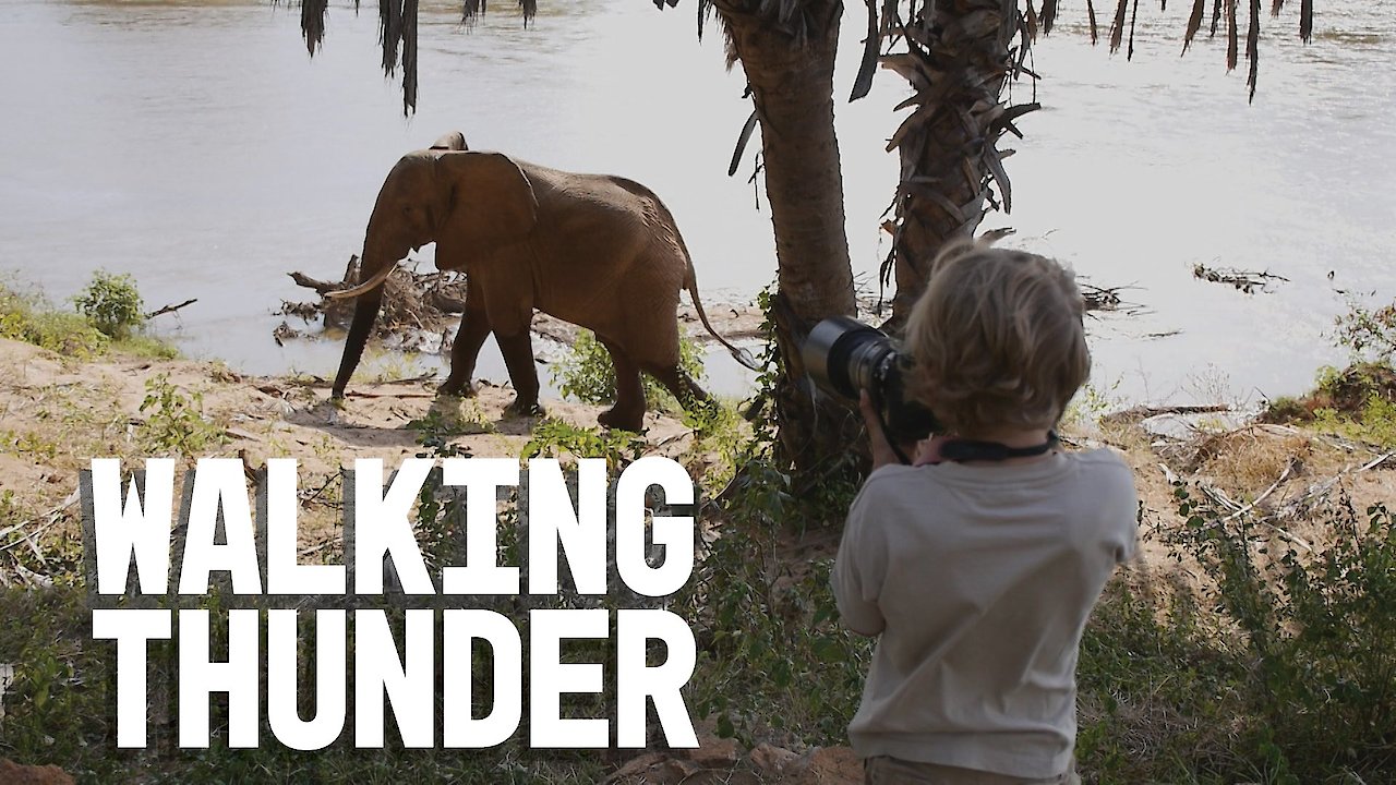 Walking Thunder