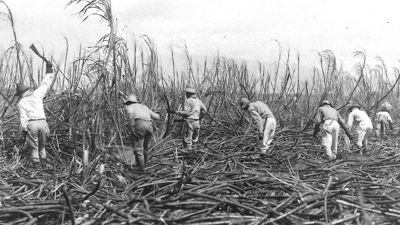 Colonization Is Extinction