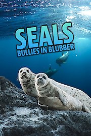 Seals Bullies in Blubber