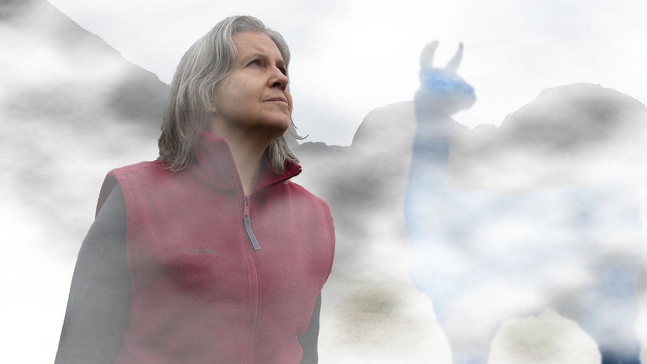 The Blue Llama Secret Message