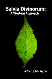 Salvia Divinorum: A Western Approach