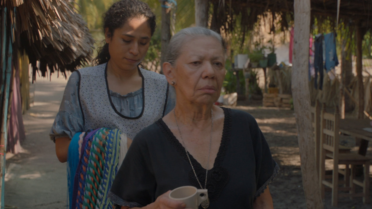 Estoy todo lo iguana que se puede