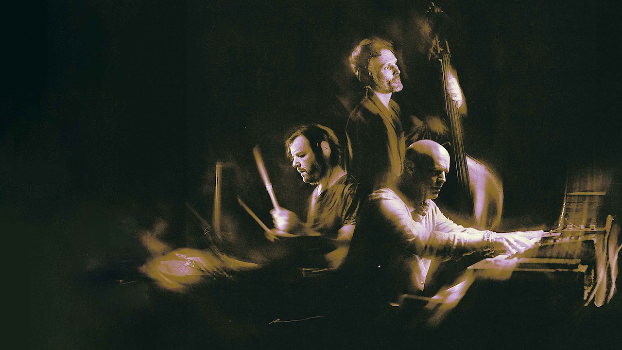 Medeski, Martin & Wood - Not Not Jazz