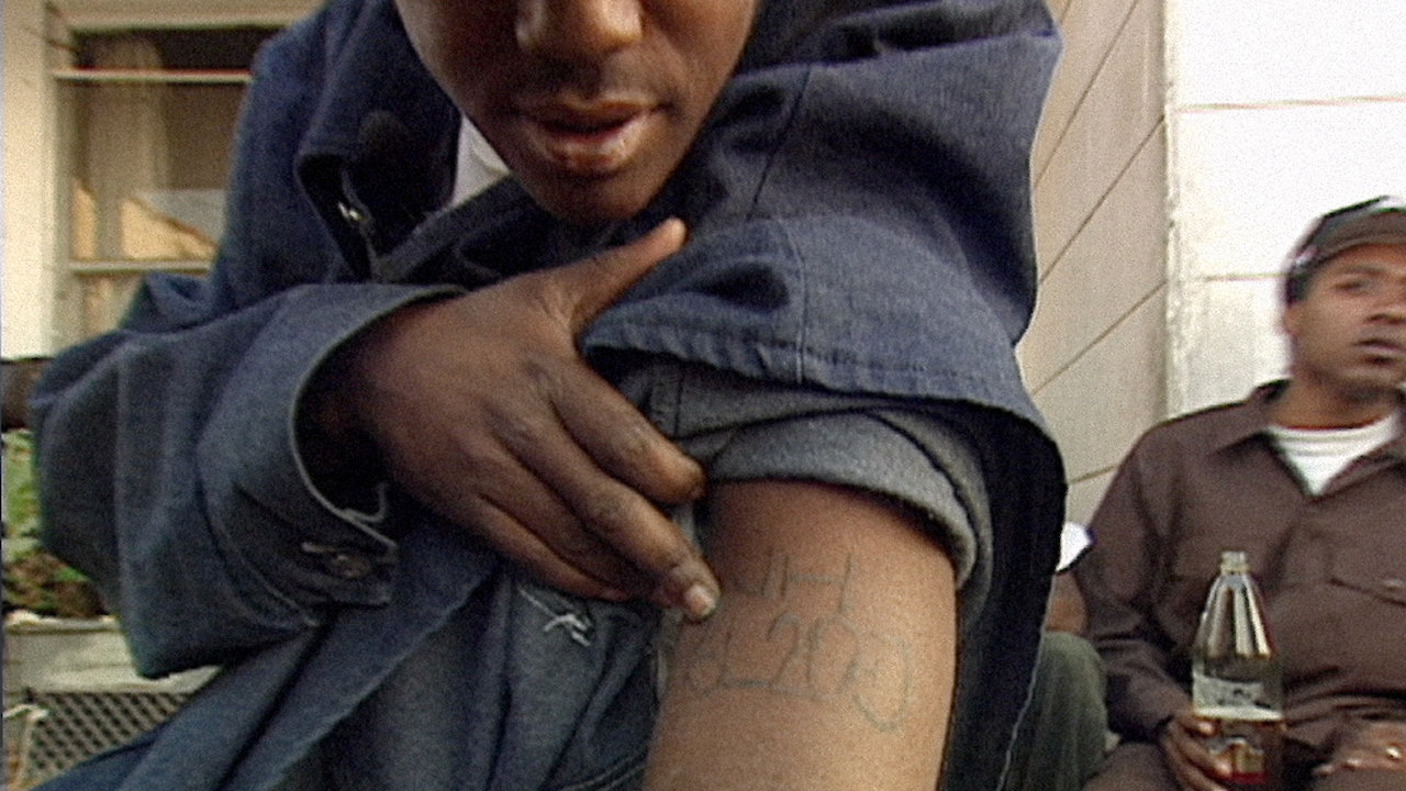 Slippin': 10 Years with The Bloods