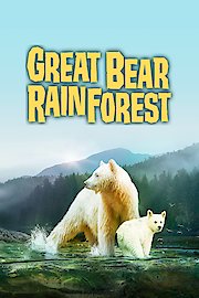 Great Bear Rainforest