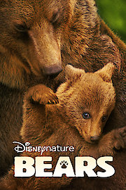 Disneynature Bears res