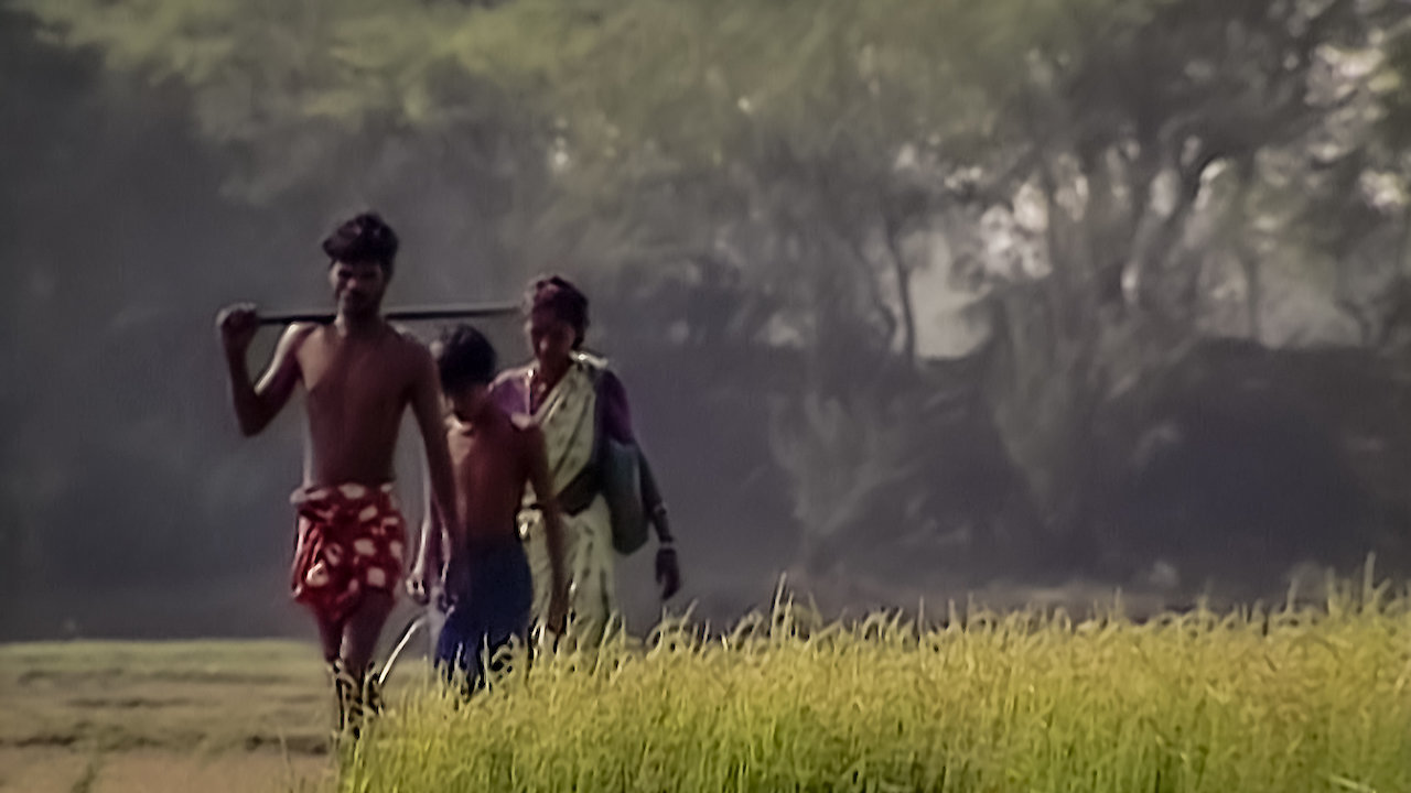 The Irula of Tamilnadu