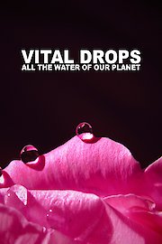 Vital Drops: All the Water of Our Planet