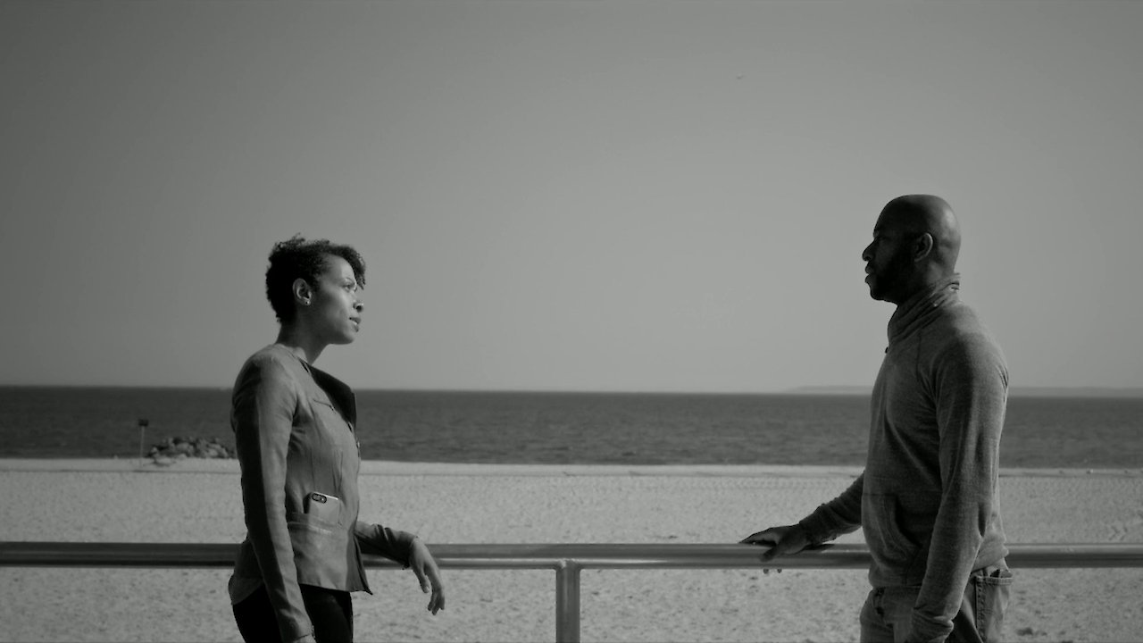 These Birds Don't Fly South in the Winter