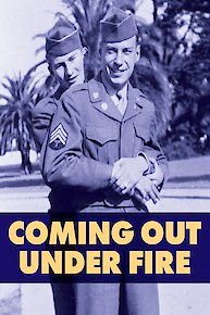 After Newtown: Guns in America