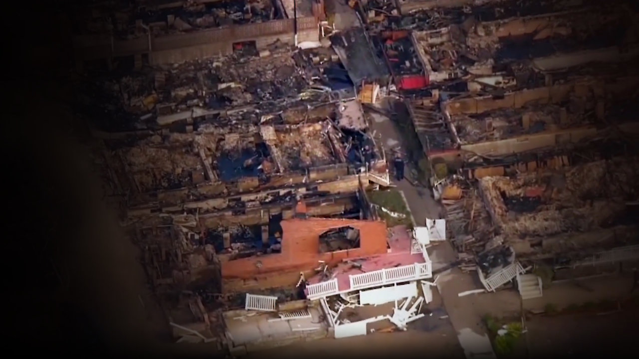 Business of Disaster