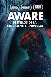 AWARE: Glimpses of Consciousness