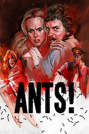Ants!