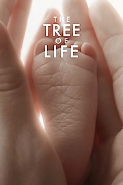 the tree of life full movie