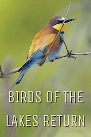 Birds of the Lakes Return