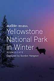 Yellowstone National Park in Winter