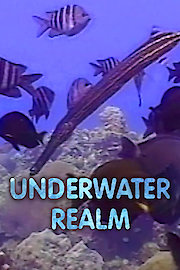 Underwater Realm