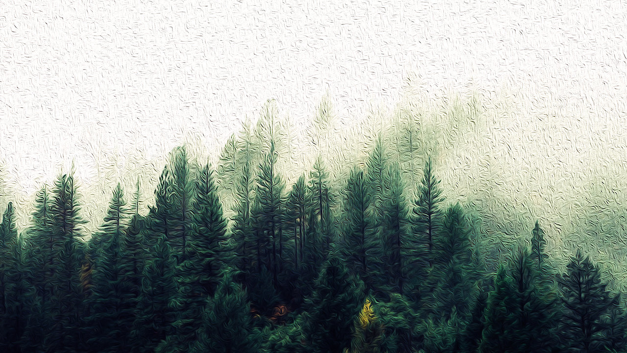 The Bigfoot - A Documentary by Casual Preppers