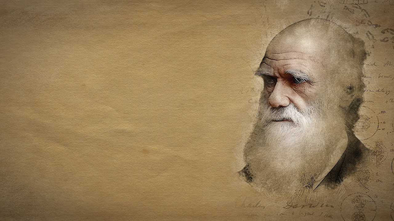 Dismantled: A Scientific Deconstruction of The Theory of Evolution