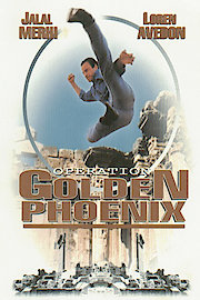 Operation Golden Phoenix