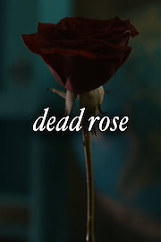 Dead Rose