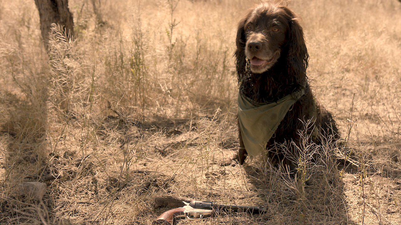 The Adventures of Bandit and Wild Wes