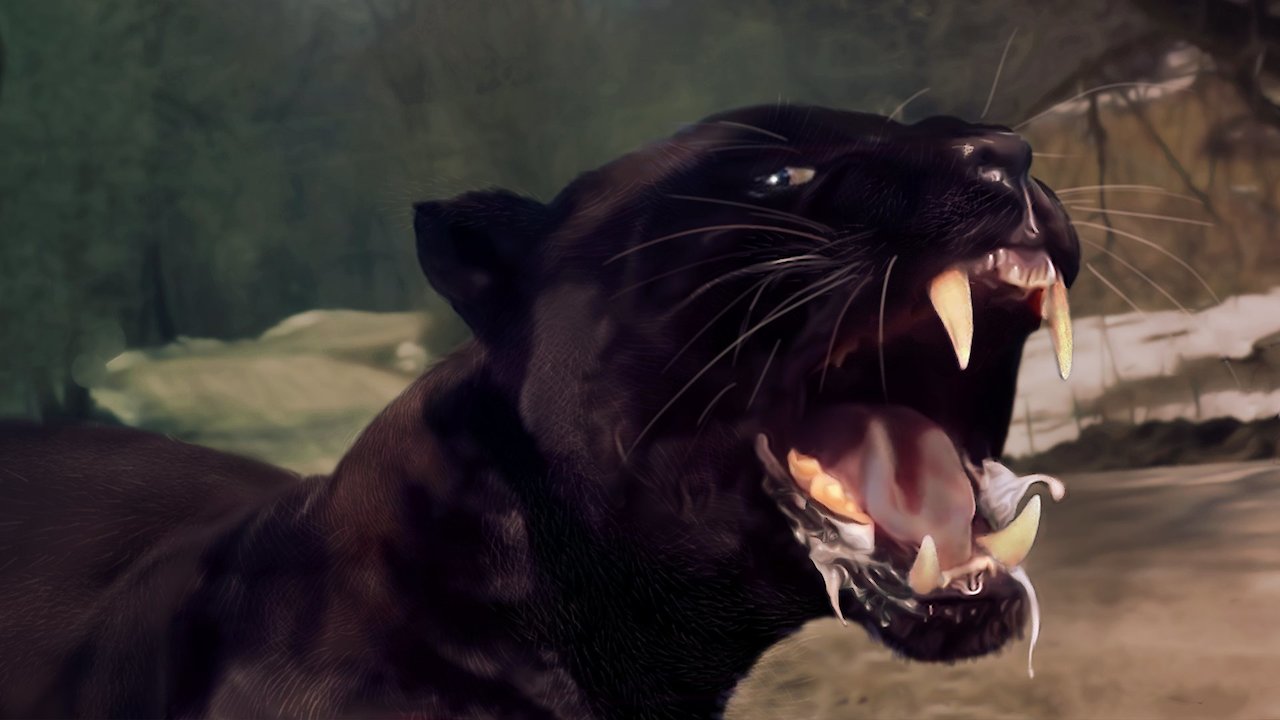 Return to Wildcat Mountain: Wisconsin's Black Panther Nexus