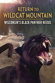 Return to Wildcat Mountain: Wisconsin's Black Panther Nexus