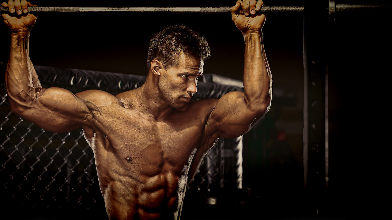 Access Muscle: The Gym Culture