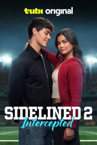 Vigilante: Behind the Scenes of the Batman Films