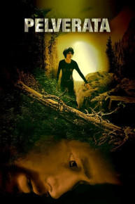 Empire Builders Icons of Conquest