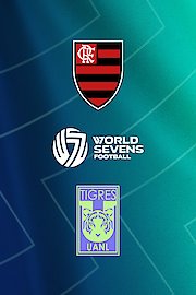 Flamengo vs. Club Tigres