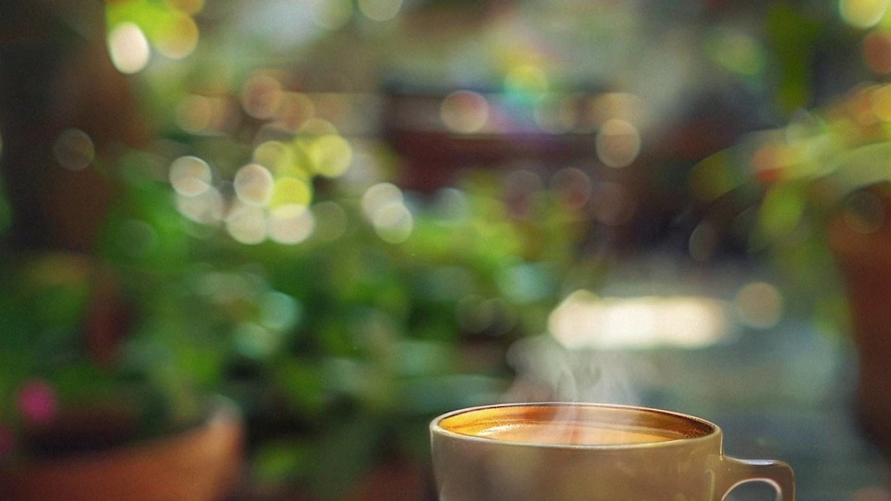 Garden caf
