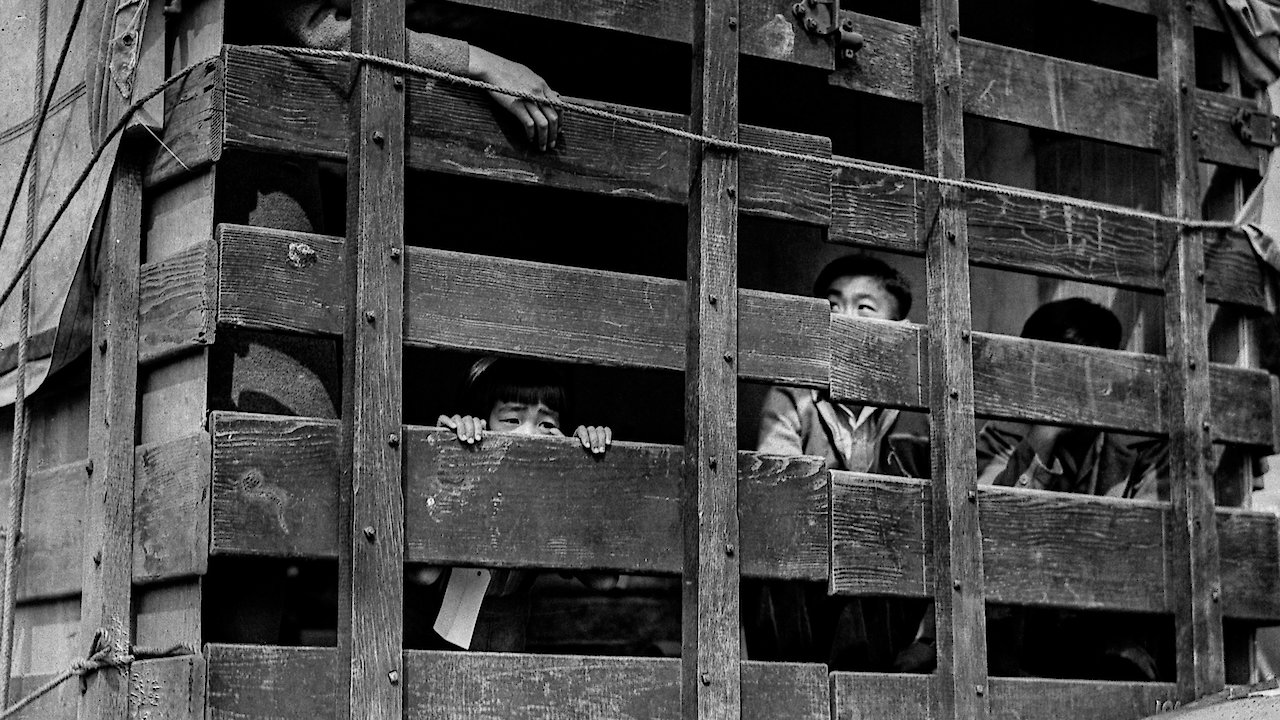 Betrayed Surviving an American Concentration Camp