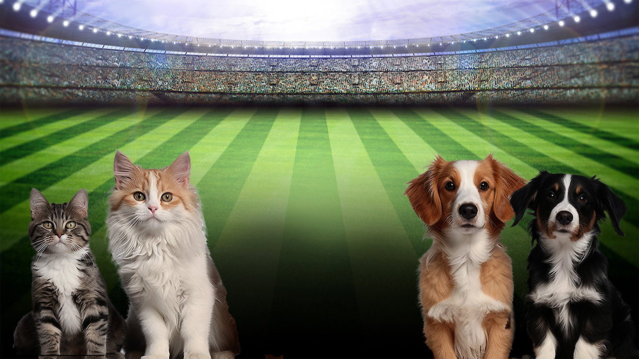 Great American Rescue Bowl 2025